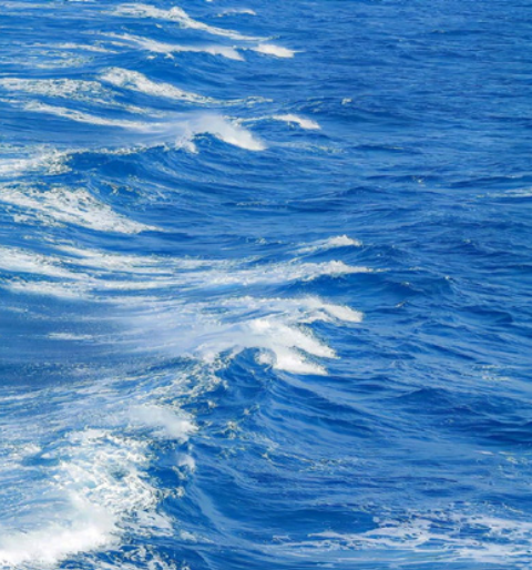 Whisper of the Ocean